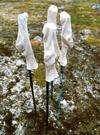 A good way to dry your socks is to hang them on vertical sticks