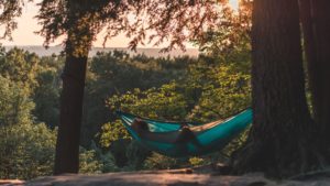 Review: Backpacking Hammock